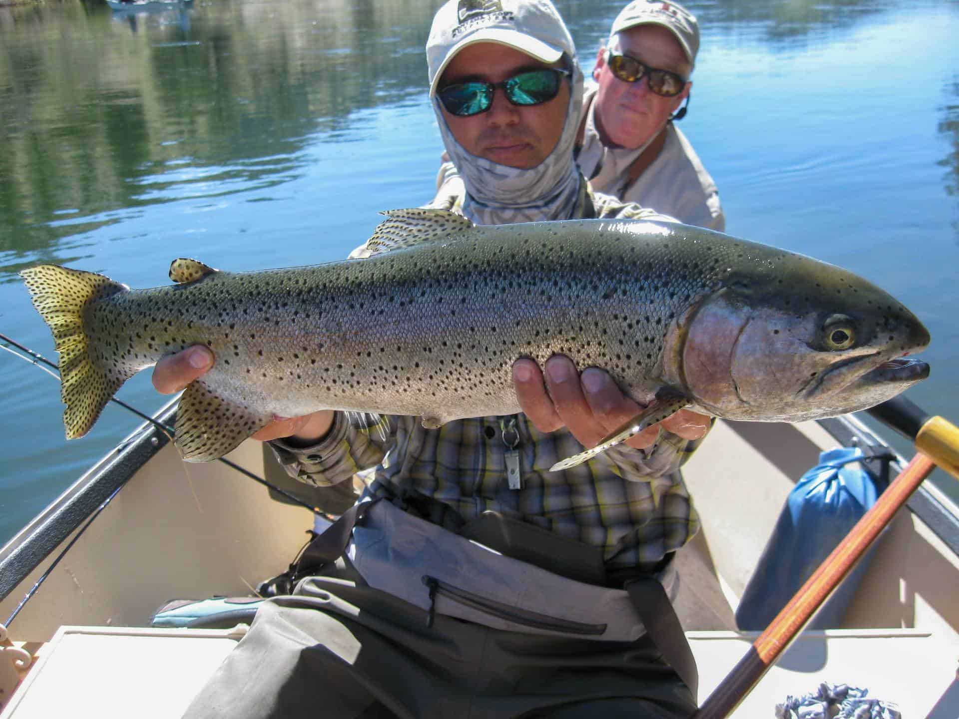 Missoula Montana Fishing Report Montana Trout Outfitters
