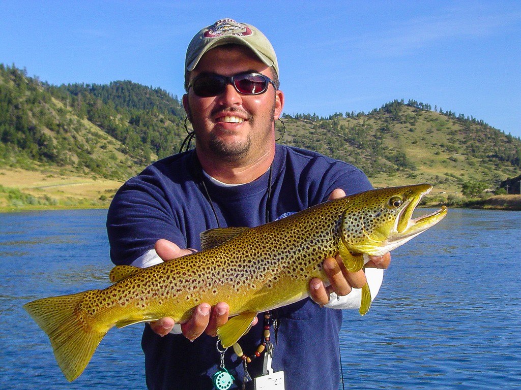 Missouri river brown trout – Montana Trout Outfitters