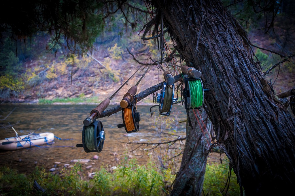 Montana Trout Fishing - Summer Special