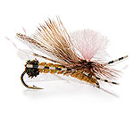 Dry Fly Golden Stone Fly