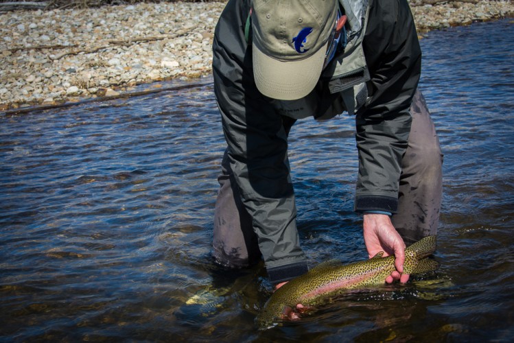 Missoula Fly fishing report