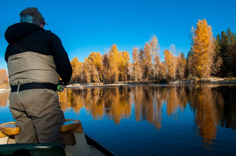 Bitterrot River in Fall