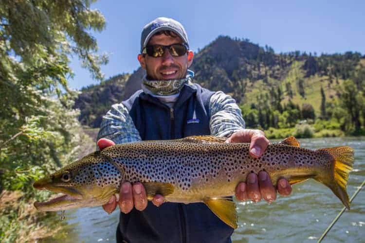 image of Montana Fishing Report for June