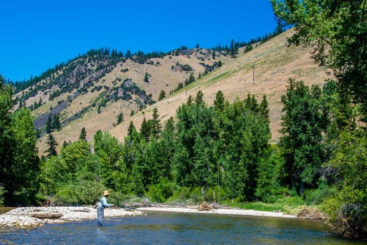 image of 2019 Montana Fishing Forecast