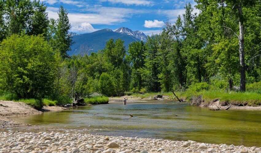 Montana Trout Outfitters - World Class Fly Fishing
