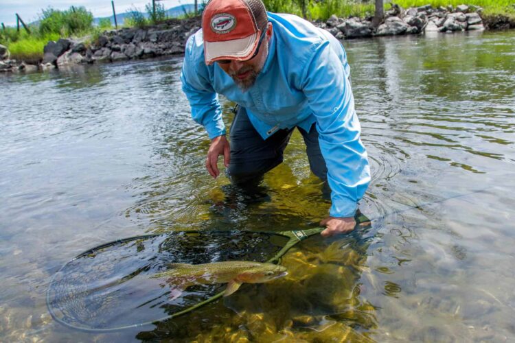 Montana Guided Fly Fishing Trips - Montana Trout Outfitters