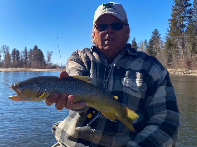 Dad with a pair of nice brown trout in the morning