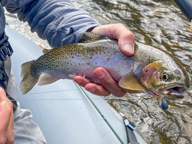 This cutthroat required some special attention and was more than happy to meet us