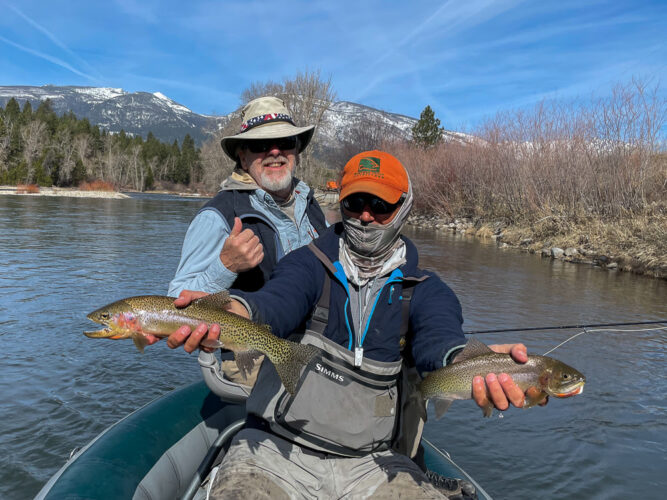 The first of many dry fly doubles today - Love Spring fishing for trout on the Bitterroot