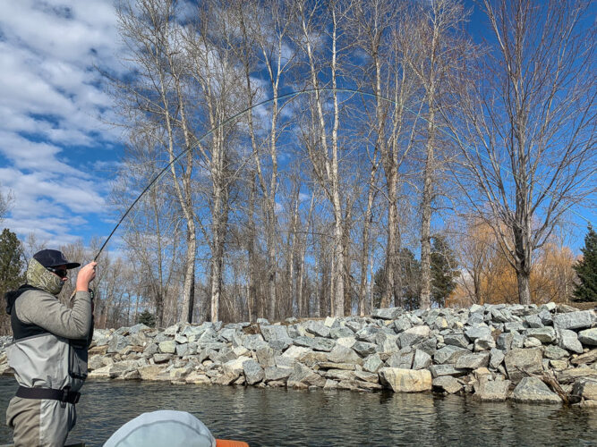 Thomas hooked up - dry fly fishing on the Bitterroot