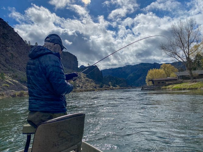 Jim hooked up early trout fishing the Missouri