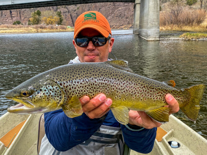 Big brown trout to start the afternoon - Missouri River Spring Fishing