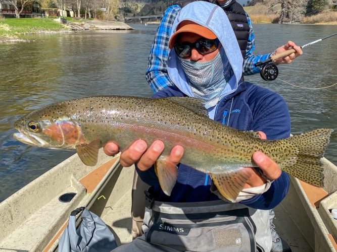 Jim with a big, flawless rainbow trout