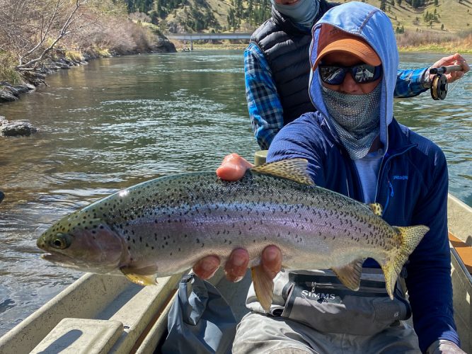 Super fat tank bows on the Mo - Nothing beats trout fishing the Missouri