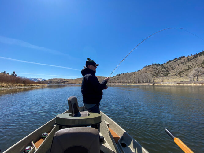 Dan hooked up with rainbow trout in the sun