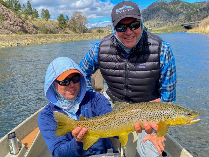 Mitch with a stunning brown trout trout over 20+"