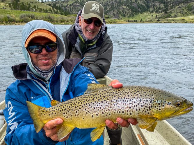 Jim with an awesome brown trout - Missouri River - Wild Weather Trout Fishing