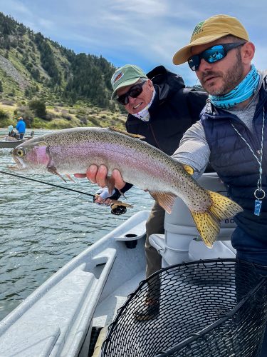 Dave with a bright specimen in the morning - Big Rainbow Trout