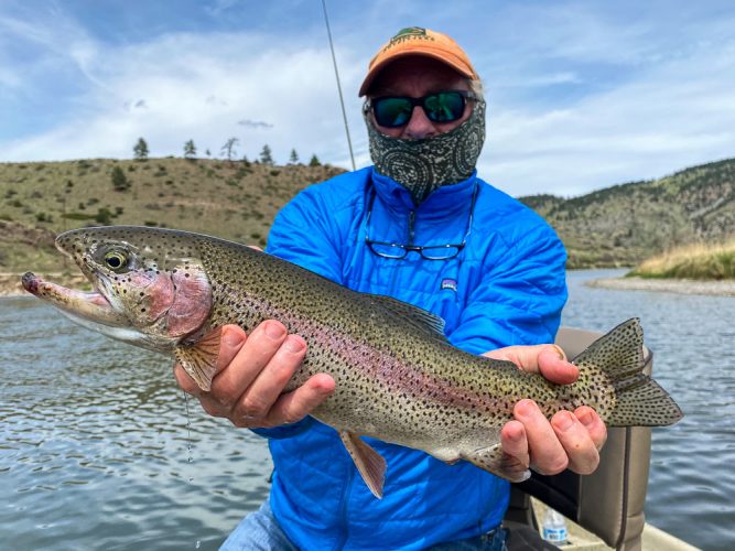 Big Rainbow Trout - Montana Trout Outfitters
