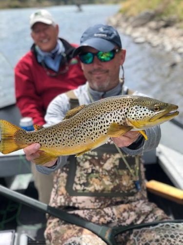 The crew got some great trout earlier in the week with my guides