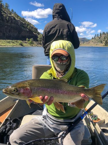 Gigantic rainbow trout [VIDEO] - Montana Hunting and Fishing