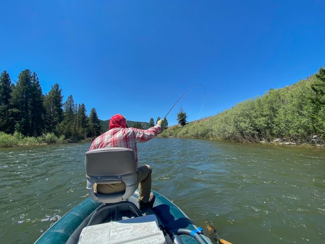 The afternoon dropper fishing kept Bob busy too - Missoula Trout Fishing