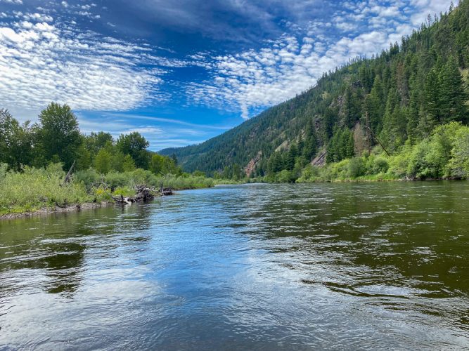 Had the river to ourselves today - Trout Fishing Montana