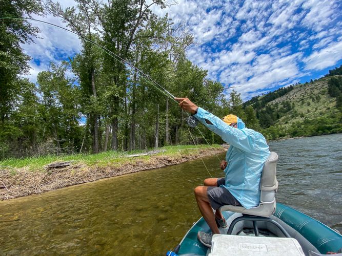 The other "No Fish" spot that produced today! - Missoula Trout Fishing