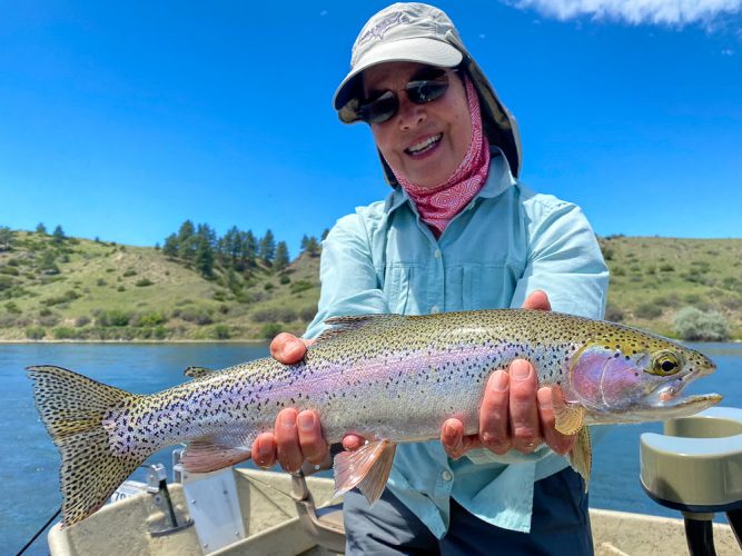 These Missouri River Rainbow Trout are big and pretty this time of year