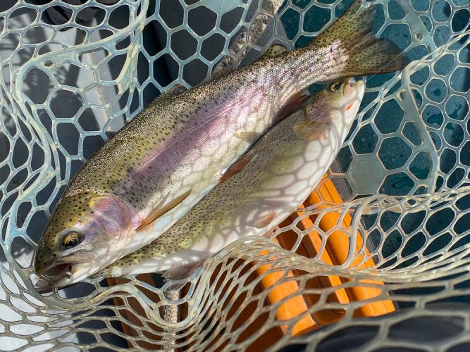 First of several doubles - Missoula Trout Fishing