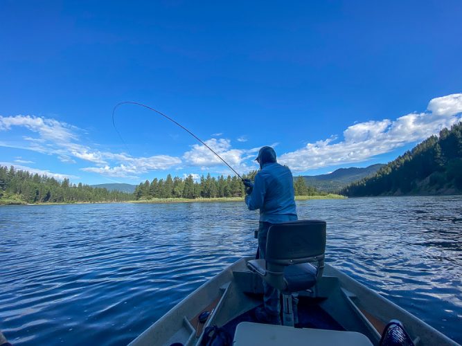 Bob hooked up on the big river - Missoula Trout Fishing