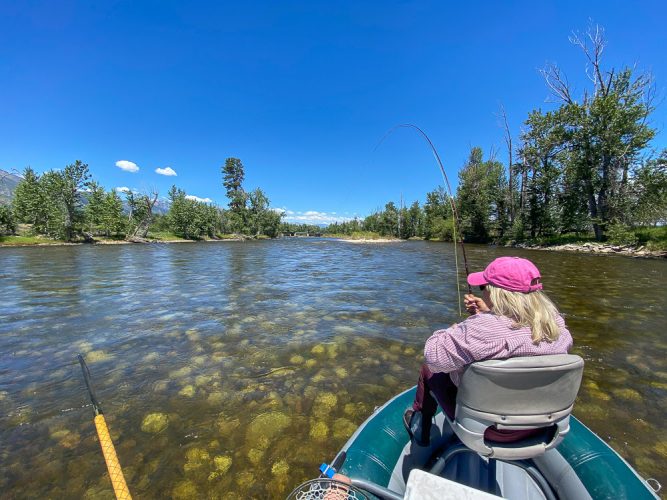 Hooked up to a dry fly eater in skinny water