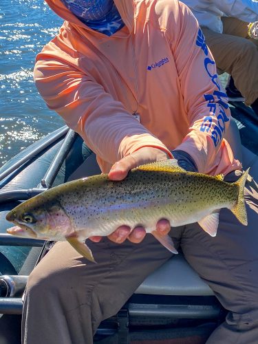 Missoula Trout Fishing - Early morning dry fly fish for Dianne