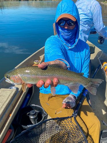 Quality rainbow trout for Dianne