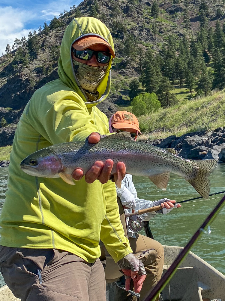 Missouri River Rainbow Trout - Montana Trout Outfitters