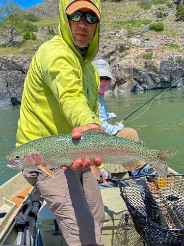 A pair of big rainbows out of foam holes for Dianne - Missouri River Rainbow Trout