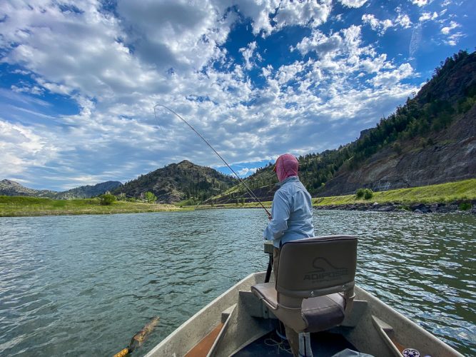 Hooked up in Big Sky country - Missouri River Rainbow Trout