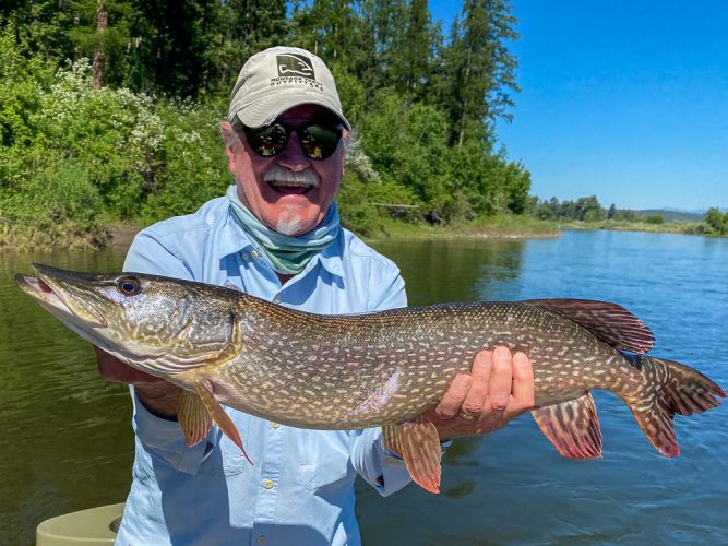 Best fish of the day - Clark Fork Fly Fishing July