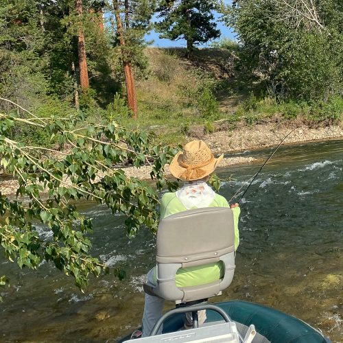 Not even a tree in the face can stop Martha from casting or hooking up - Bitterroot River Fly Fishing July