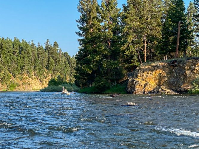 Junior working a run below us in the canyon - Mid-July Missoula Fishing