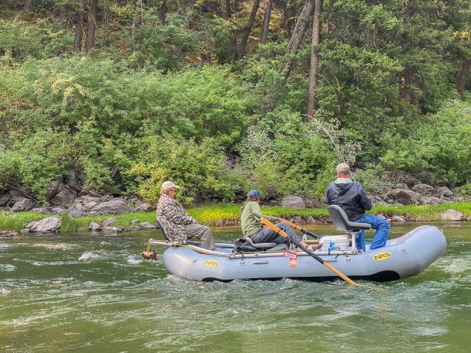 Junior bringing one to the net - Mid-July Missoula Fishing