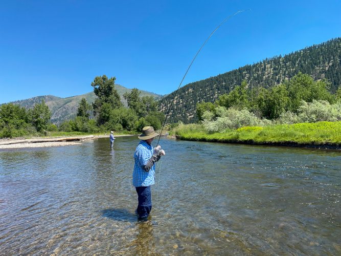 Wading a side channel to cool off and finding a few trout - Clark Fork Fly Fishing July