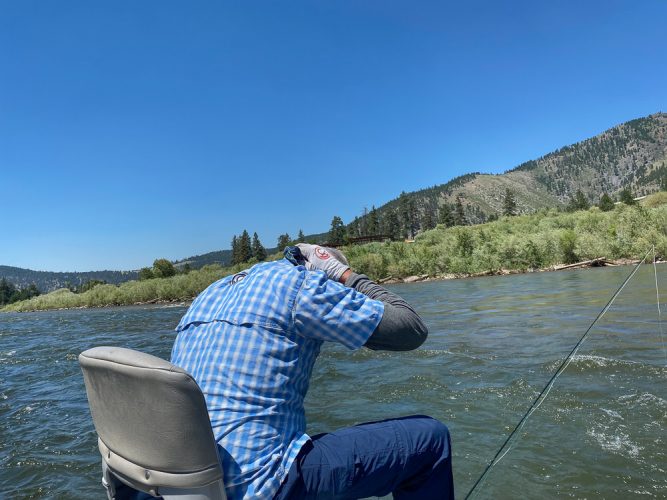 Cooling off during the heat of the day - Clark Fork Fly Fishing July