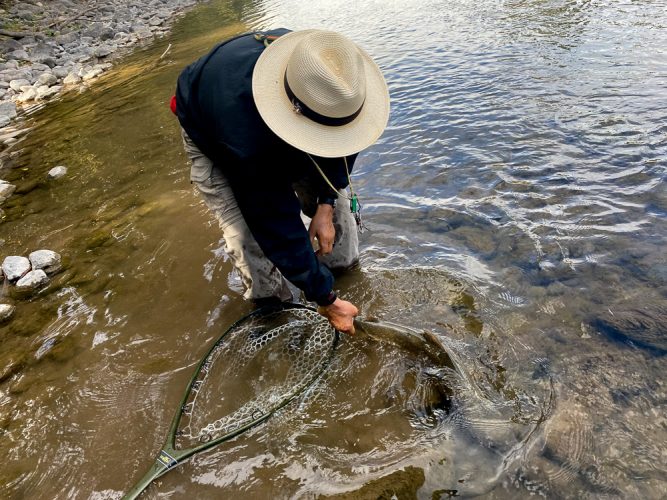 Releasing the beast - Missoula Fall Fishing