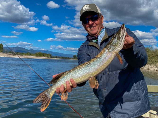 Steve got the action going with the first pike of the day - Missoula Fall Fishing