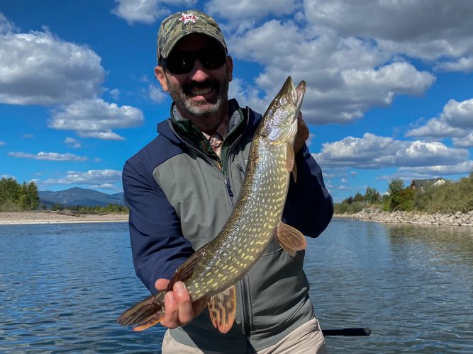 Gregg was quick to follow - Missoula Fall Fishing