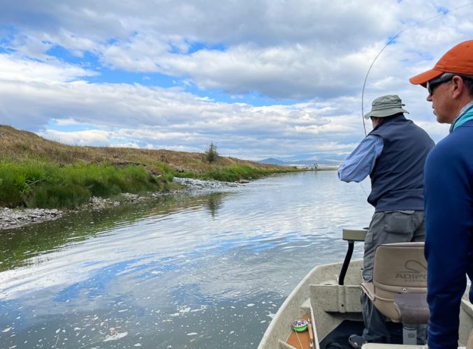 Trying to find them in the clouds - Montana Fly Fishing