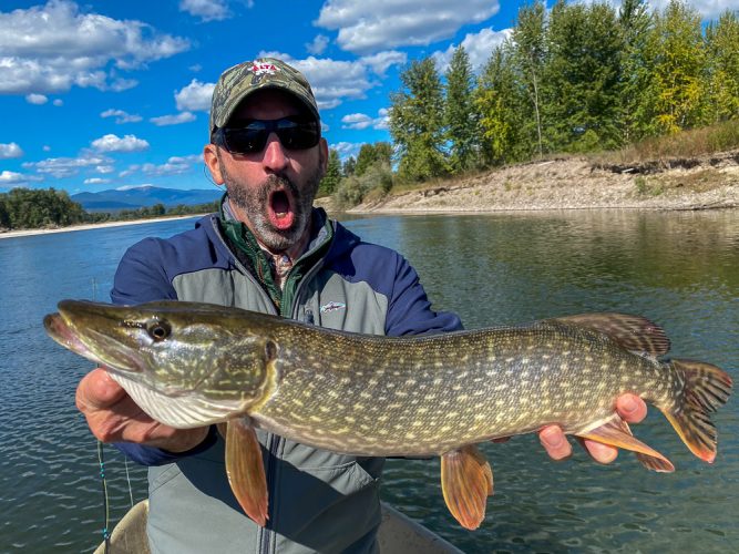 Gregg with a main river fish - Missoula Fall Fishing