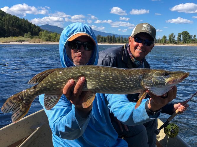 Steve with a toothy critter on fly - Missoula Fall Fishing