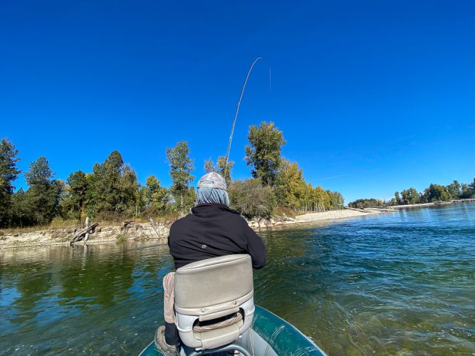 Steve tight to a big fish on a small dry - Montana Fall Fishing Fun